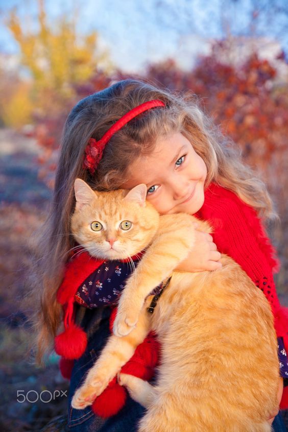 כשל כליות כרוני בחתולים