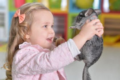 איזו חיית מחמד מתאימה לבית עם ילדים