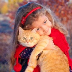 כשל כליות כרוני בחתולים